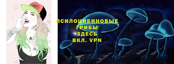 соль ск Нязепетровск