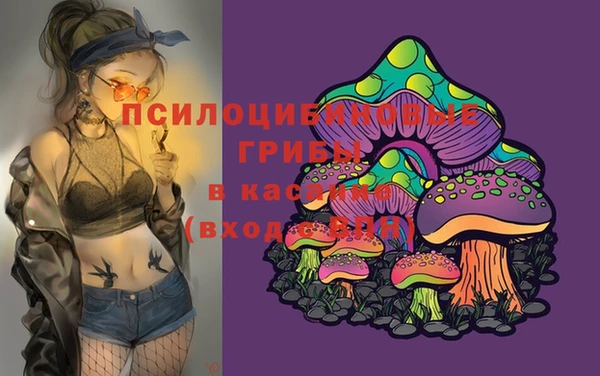 герыч Няндома