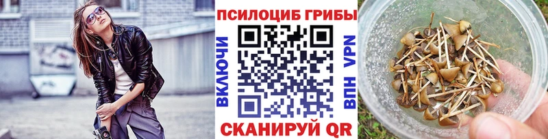 МЕГА tor  где купить   Салаир  Галлюциногенные грибы Psilocybe 